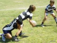 /album/fotogaleria/infantiles-13-jpg1/